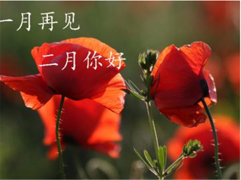 一月再見(jiàn)，美好的二月你好啊